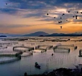 柳州伴游中国网景点丰富(旅游网介绍)