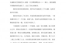 柳州旅游感想(张家界旅游感想)