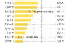 柳州关于伴游小丽中国足球的信息