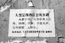 柳州珠海伴游雇用网(珠海游览社雇用信息)