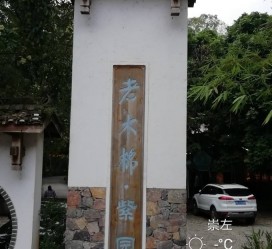 柳州关于伴游中国伴游你们伴得是什么游的信息