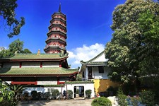 柳州广州自由行(广州 自由行)
