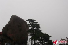 柳州上海伴游私家陪游雇用女模(上海伴游私家陪游雇用女模特)