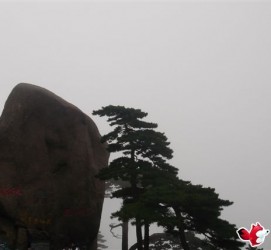柳州上海伴游私家陪游雇用女模(上海伴游私家陪游雇用女模特)