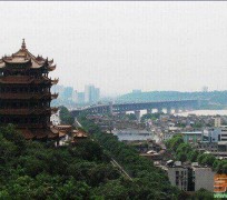 柳州武汉游玩攻略(武汉游玩攻略ppt)