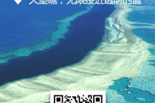 柳州中国250家旅行社结伴游新西兰(新西兰当地旅行社)