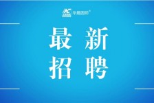 柳州镇江伴游雇用驾驶员(镇江驾驶员雇用苍生网)