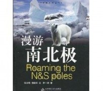 柳州游记攻略(ps西游记攻略)