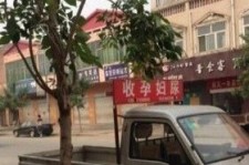 柳州上海伴游 用伴游造句大全(5