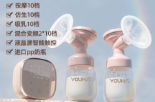 柳州奶模(奶模型)