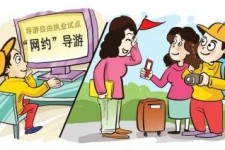 柳州伴游是什么