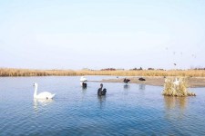 柳州南昌附近伴游小妹兼职(1534939978姐的微信德惠市)