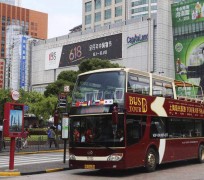 柳州上海私人伴游 上海过年怎么玩？这些“微游”线路了解下→