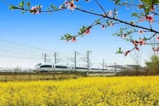 柳州高铁游(高铁游戏下载手机版)