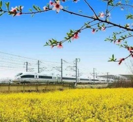 柳州高铁游(高铁游戏下载手机版)