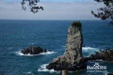 柳州旅游全攻略(上海旅游全攻略)
