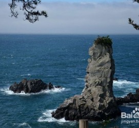 柳州旅游全攻略(上海旅游全攻略)
