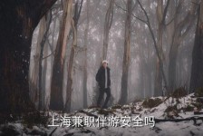 柳州上海私人伴游 上海伴游，上海兼职伴游安全吗
