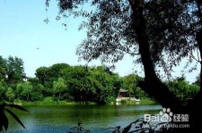 柳州西湖旅游攻略(上海到杭州西湖旅游攻略)
