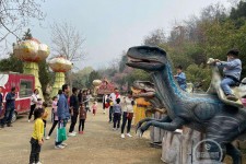 柳州中国伴游带你打卡网红南山竹海(南山竹海网上预约)