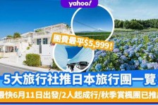 柳州旅游价格(旅游价格机制)
