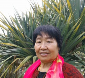 柳州白叟带老伴游半个中国(白叟外出旅游)