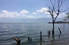 柳州洱海旅游攻略(洱海旅游攻略自由行)