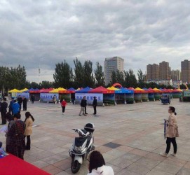 柳州通辽伴游雇用(哈尔滨伴游雇用)
