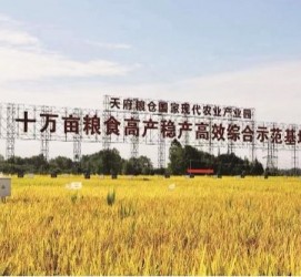 柳州关于成都商务伴游外围雇用的信息