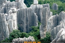 柳州贵阳市游览社英语伴游雇用(贵阳市前十名游览社是哪几家)