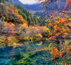 柳州四川旅游攻略(四川旅游攻略十五日游)