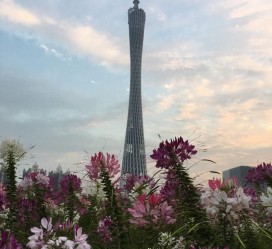 柳州广州旅游攻略(杭州到广州旅游攻略)