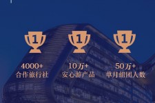 柳州上海私人伴游 ​ “小而美”的新时代：2020年国内新跟团消费报告