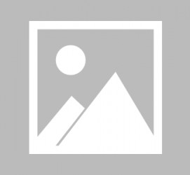 柳州最新导游伴游雇用信息(最新导游伴游雇用信息大全)