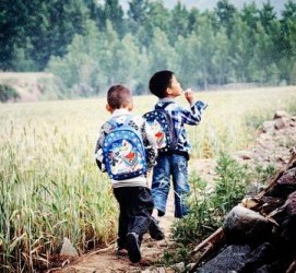 柳州河南一家四口结伴游中国2个月(河南适合一家四口旅游的地方)