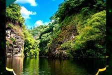 柳州旅游报价(旅行团旅游报价)