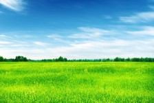 柳州上海伴游 上海模特伴游微信号的交友宣言
