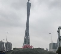 柳州广州游玩攻略(广州游玩攻略景点大全免费)