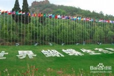 柳州昆明旅游攻略(昆明旅游攻略景点大全抚仙湖)
