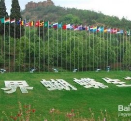 柳州昆明旅游攻略(昆明旅游攻略景点大全抚仙湖)