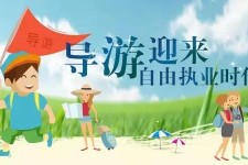 柳州私人伴游 “网约导游”到底是正流行 还是不热闹