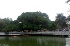 柳州福州旅游攻略(福州旅游攻略二日游)
