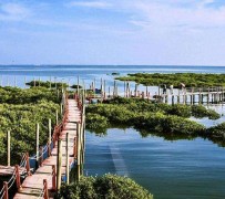 柳州旅游哪里好玩(云南旅游哪里好玩)