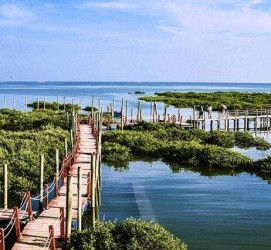 柳州旅游哪里好玩(云南旅游哪里好玩)