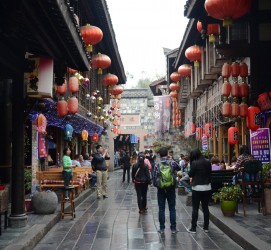 柳州成都自助游(成都自助游住哪里方便)