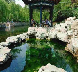 柳州济南旅游攻略(青岛威海济南旅游攻略)