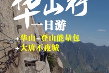 柳州一日游(一日游需要准备些什么东西?)